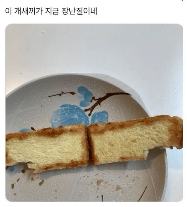 왠일로 토스트 만들어준 동생한테 감동 받았는데 ㄷㄷ