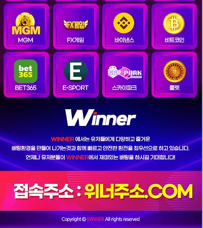 (위너 Winner)