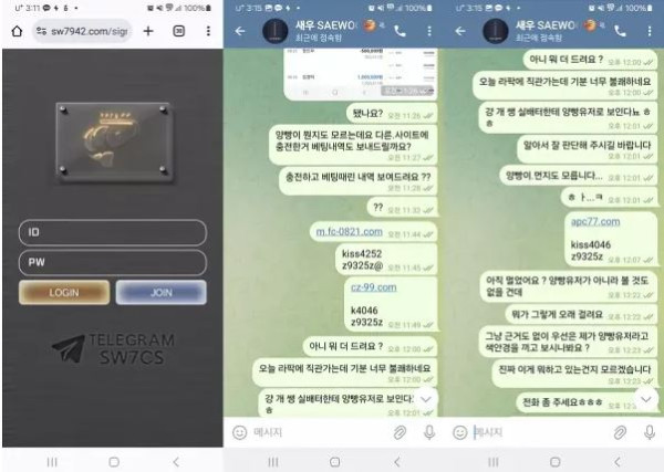 먹튀사이트 도메인 및 정보 [새우 SAEWOO]