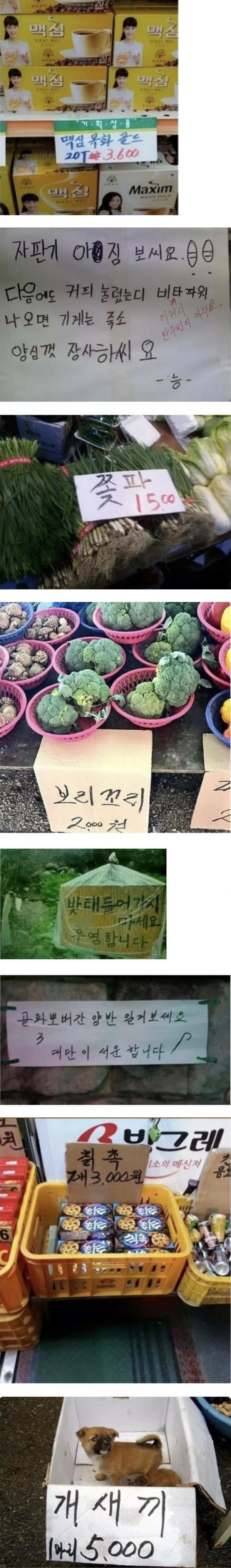 발음 대로 적힌 한국 맞춤법