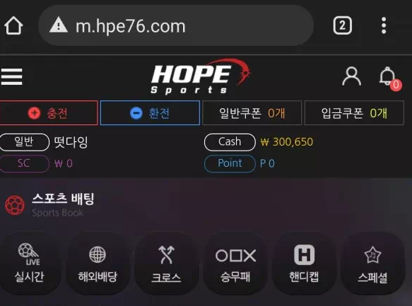 먹튀사이트 도메인 및 정보 [ 호프 HOPE ]